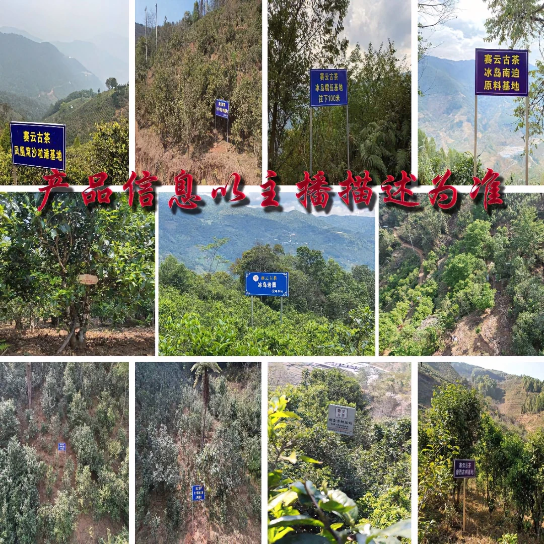 【冰岛红】2023冰岛老寨  红茶散料（红茶）