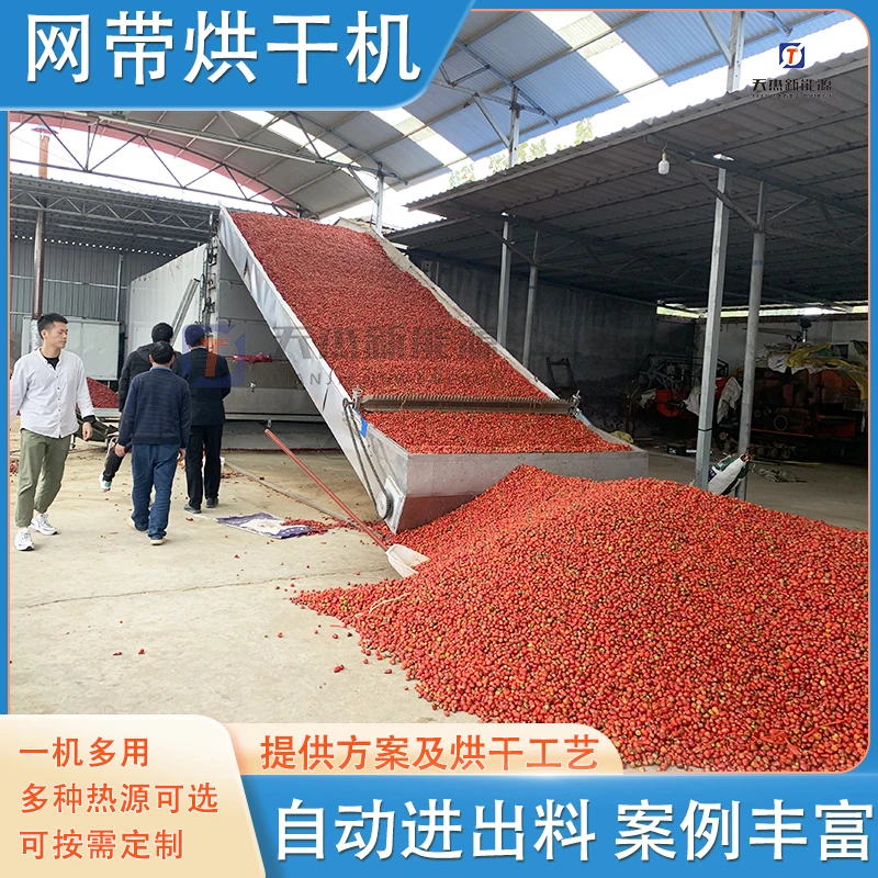 网带蔬菜烘干机大型辣椒八角瓜子桂圆贡菜干燥机木瓜生姜烘干设备