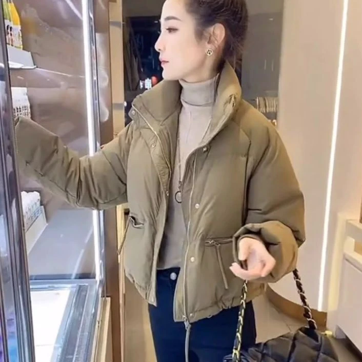 波斯羽绒服2023年新款冬季女士羽绒服小个子短款色立领面