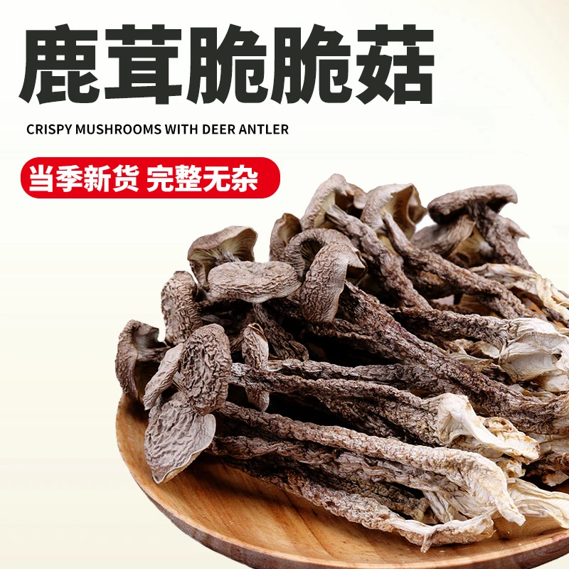 云南鹿茸菇2包100g农家特产鹿茸菌干货菌菇脆脆菇食用菌新鲜蘑菇