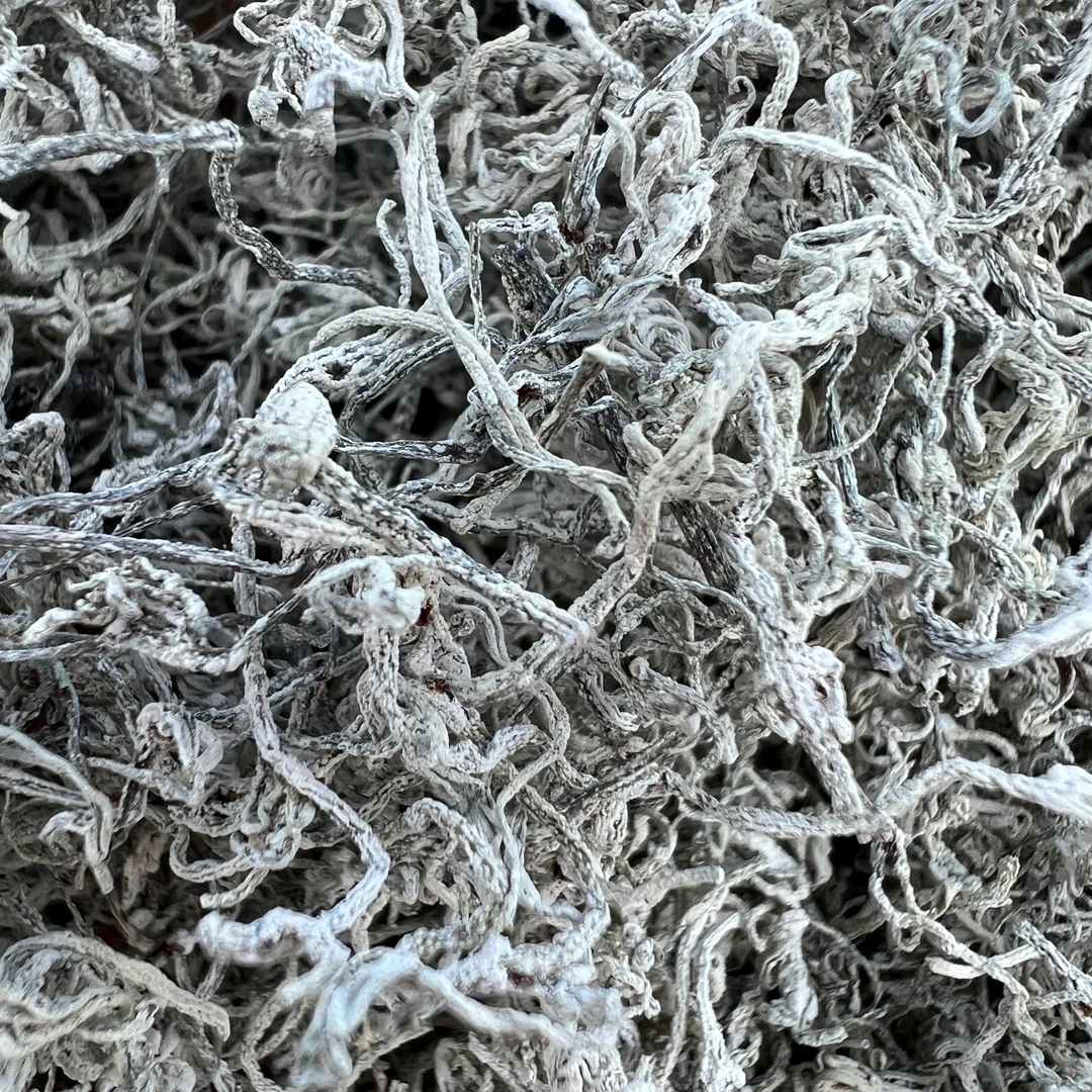 高山 农家  莓茶
