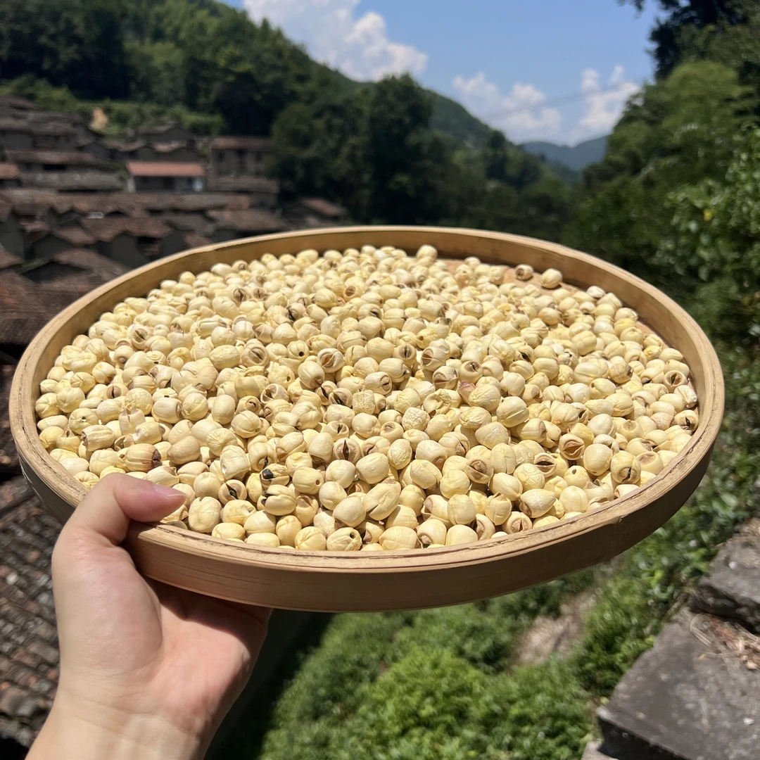 高山 农家 带芯莲子