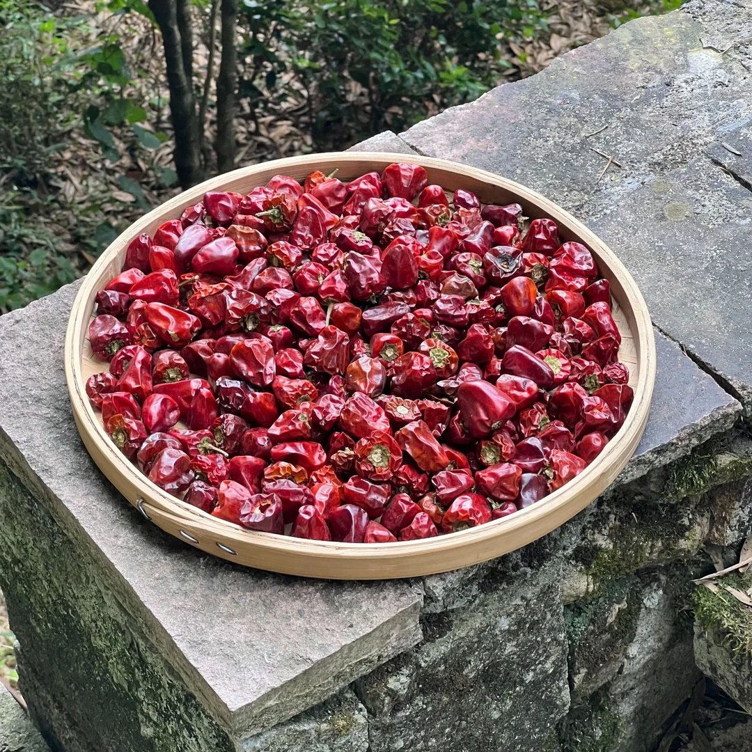 高山 野生 灯笼椒