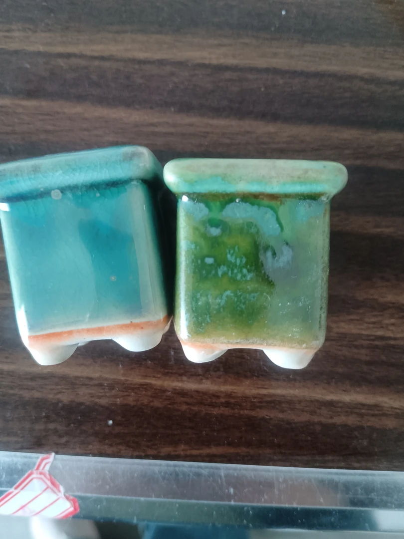 景德镇多肉花盆精控拇指盆