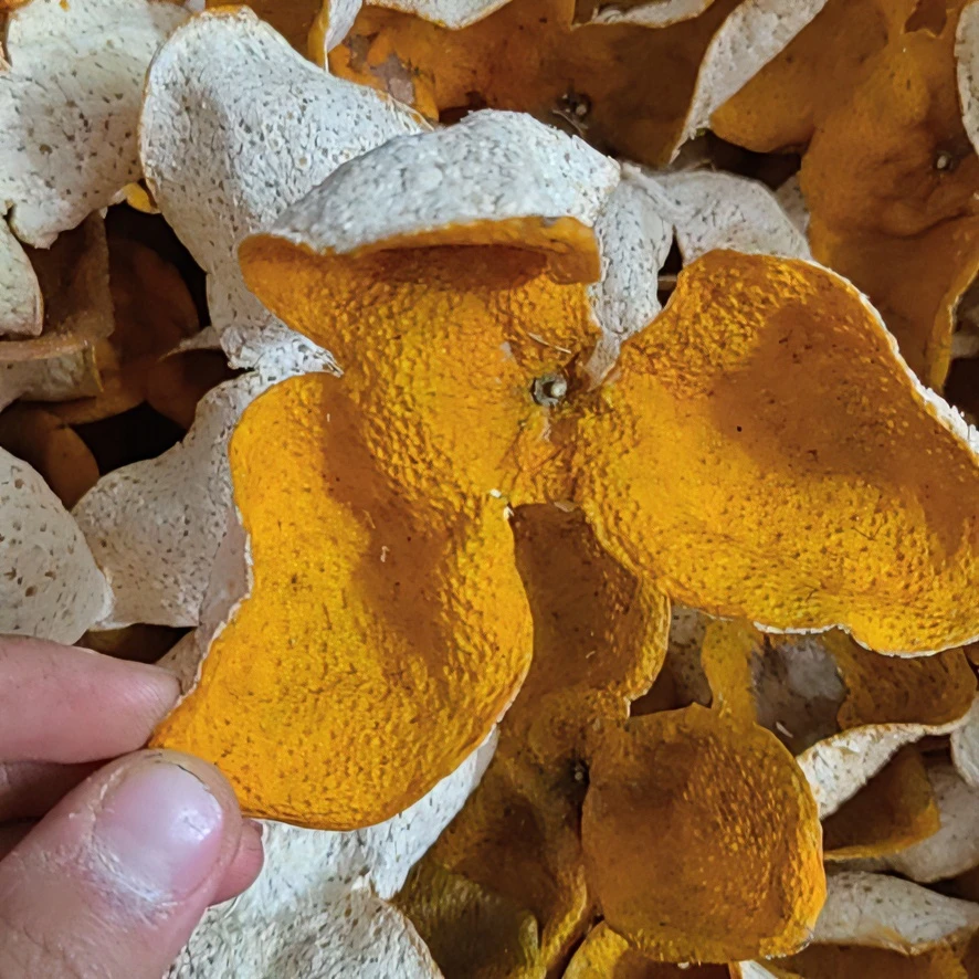 2022年8年老树双水圈枝冬后大红皮500g陈皮散装储存陈皮散装储存