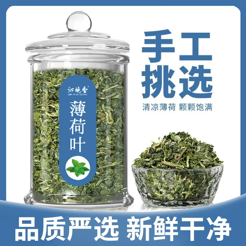 薄荷茶金银花干薄荷叶新鲜可食用泡茶水喝的茶咀嚼新鲜清凉茶夏季