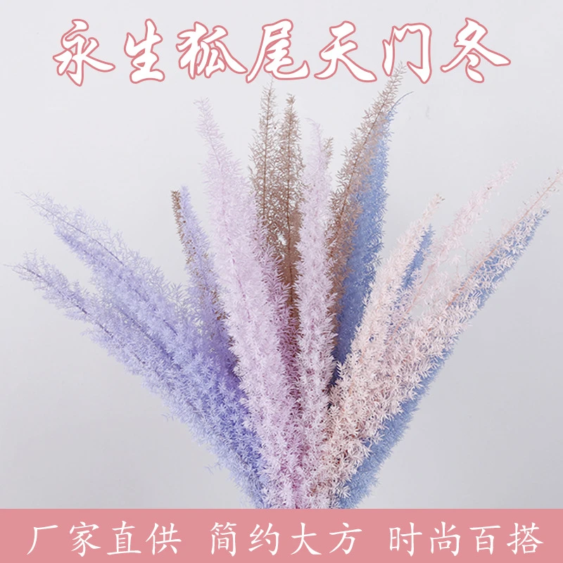 云南永生花客厅摆件观赏性植物客厅插花摆件婚庆狐尾花干花紫罗兰