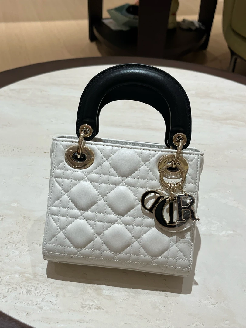 全新未使用 DIOR/迪奥 戴妃三格熊猫拼全新24编码 附件：尘袋 盒子