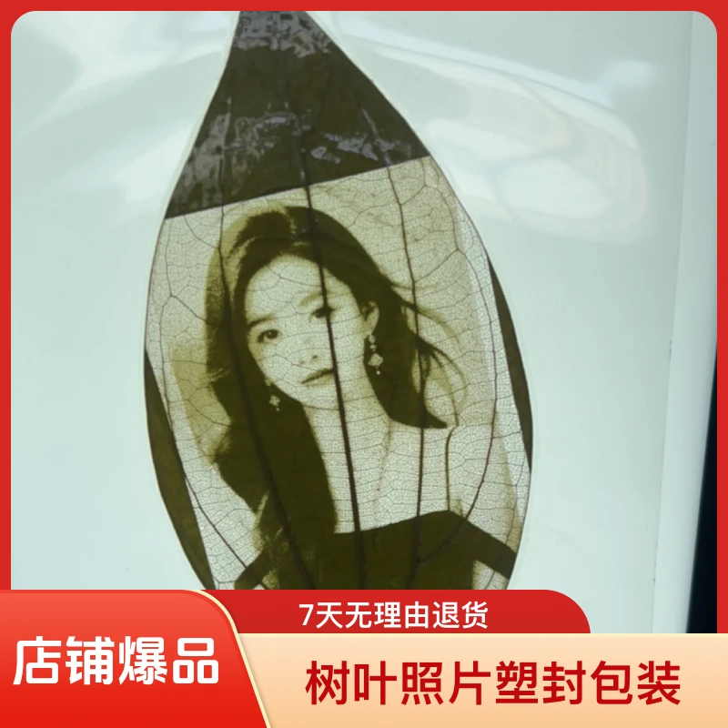 树叶照片塑封包装（书签款）