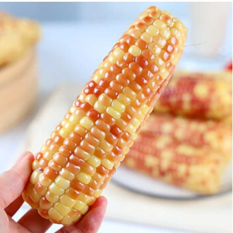 云南西双版纳玉米香糯小花糯玉米真空蒸煮即食加热即食美味