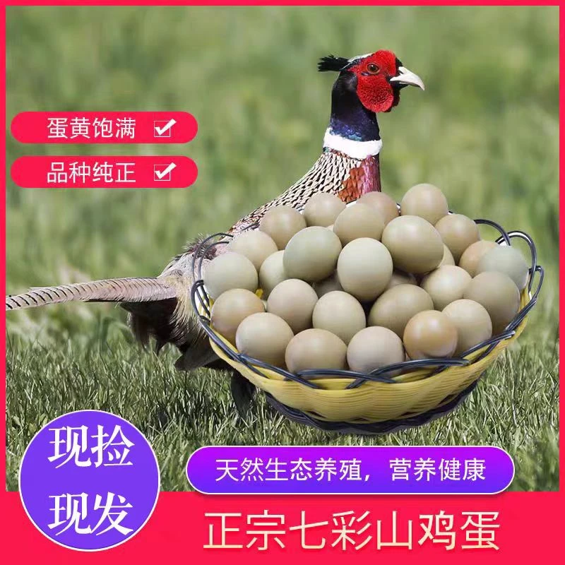 七彩土山鸡蛋当日鲜蛋老人小孩孕妈蛋高山野外鸡蛋