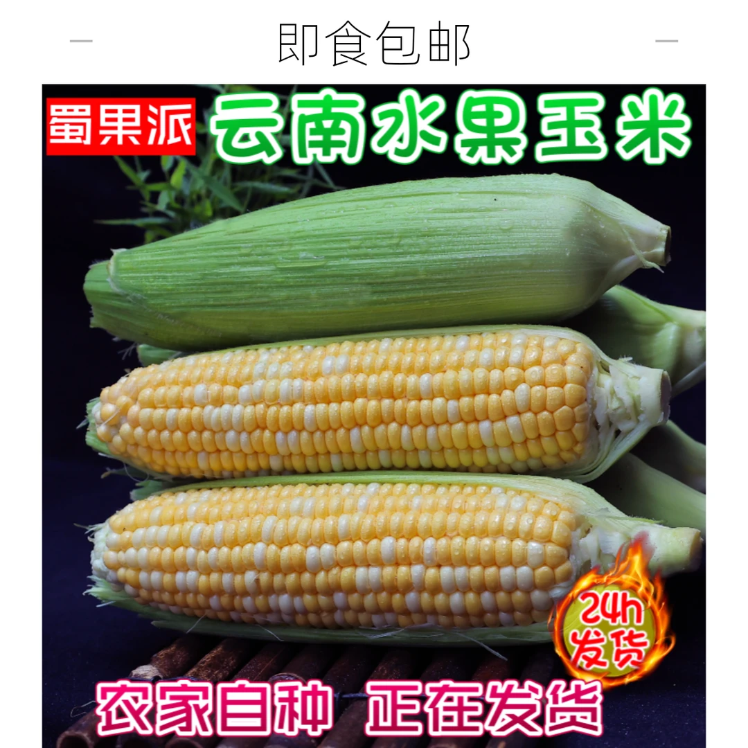 【顺丰包邮】云南新鲜水果玉米甜玉米嫩玉米新鲜玉米棒清甜即食包邮