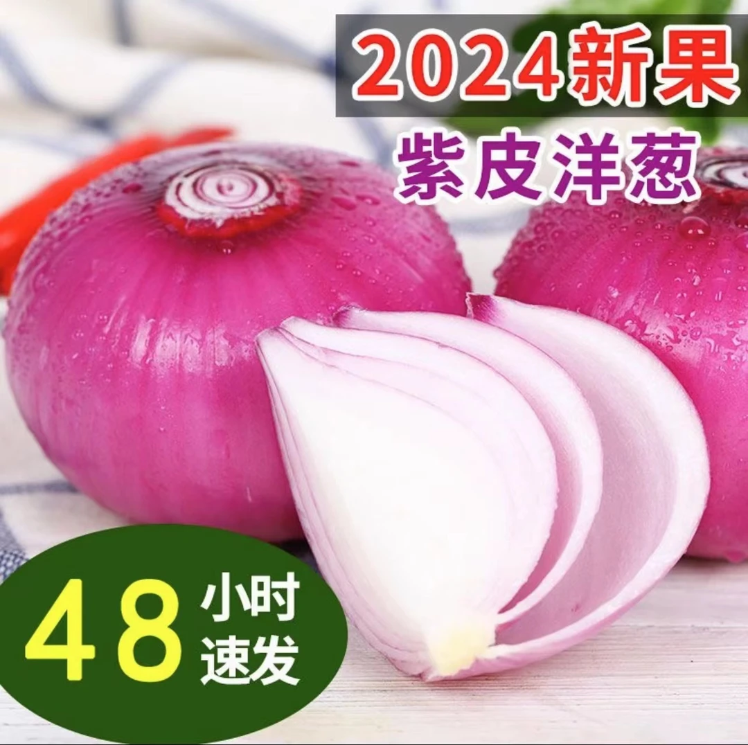 河南新鲜精选紫皮洋葱水果洋葱可以生吃的水果洋葱5斤【坏果包赔】