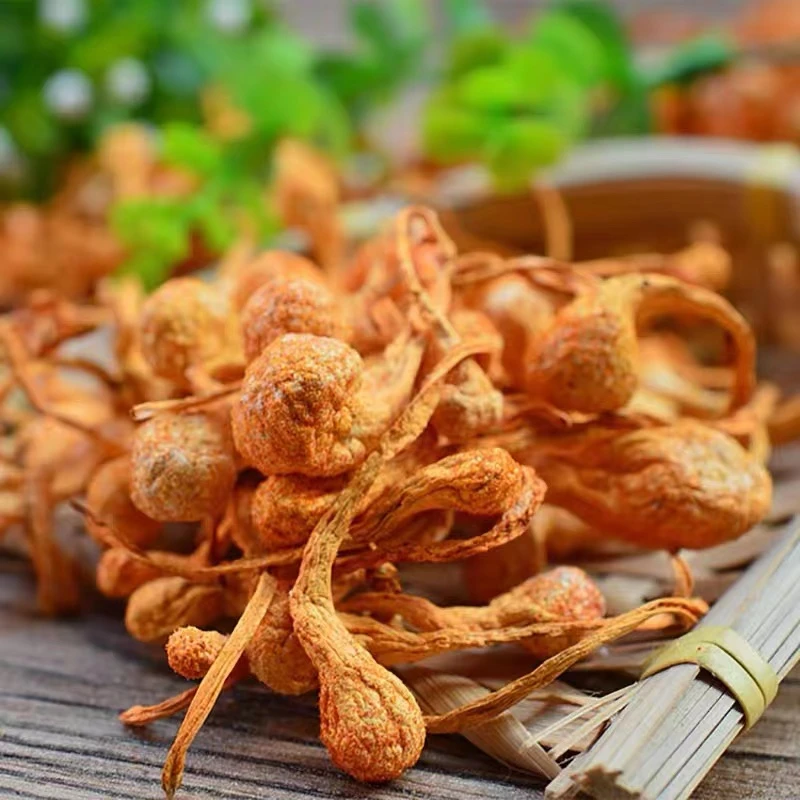 东北精选 西洋 营养汤包孢子头金虫草