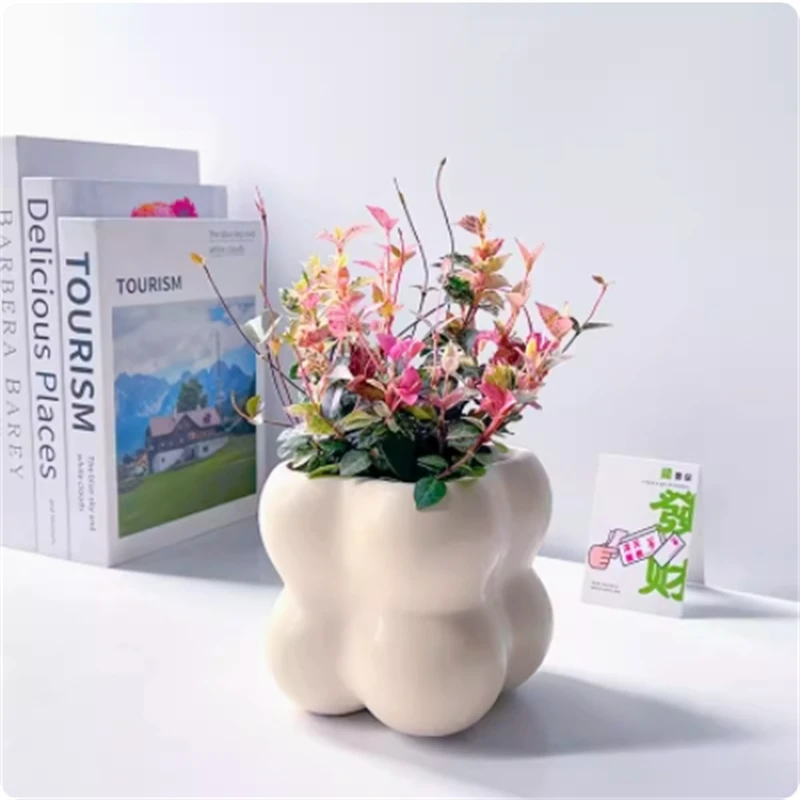 花叶络石室内绿植吸甲醛净化空气桌面好养活彩叶垂吊北欧懒人盆栽