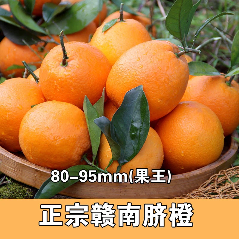 正宗赣南脐橙10斤装产地直发应季水果新鲜橙子