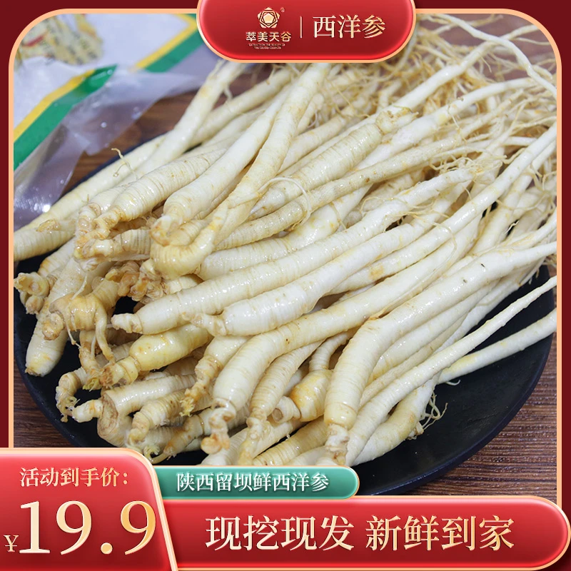 萃美天谷【粉丝专享】留坝新鲜西洋参现挖现发冷链包邮250g