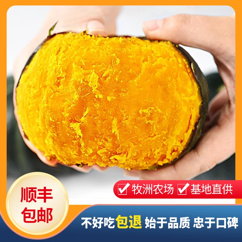 顺丰包邮丨牧洲农场直供山东板栗贝贝南瓜香甜细腻农产品 4.8斤装