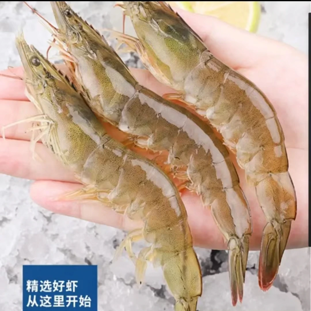 连云港发货 原盒盐冻保鲜美味大虾2030/3040 规格