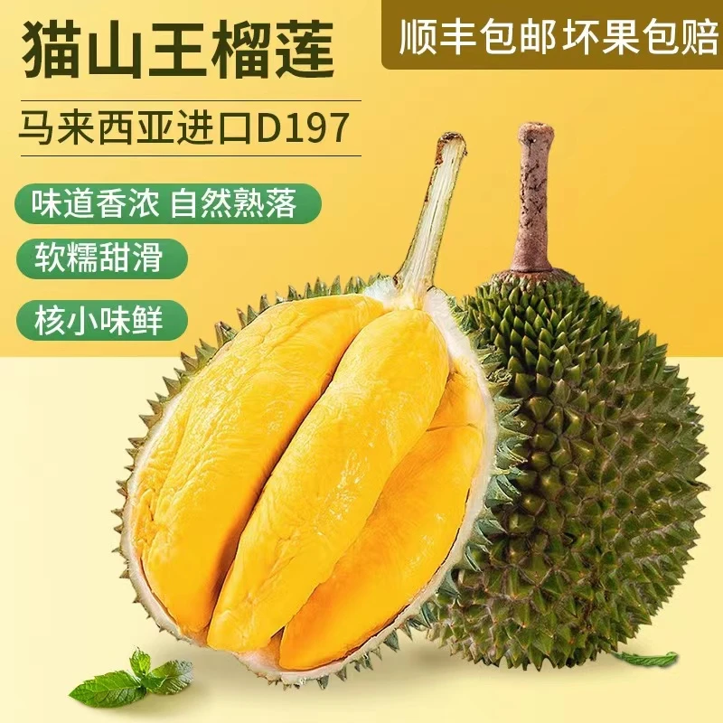 【着急拍这个】马来西亚A级D197猫山王液氮整果榴莲顺丰现拍现发