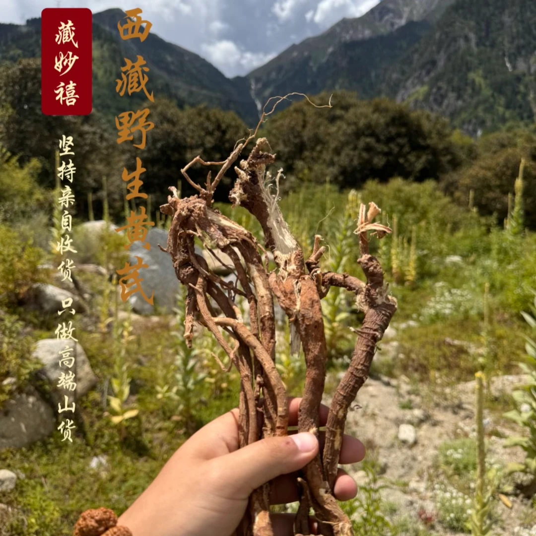 藏妙禧 西藏高海拔野生黄芪干货