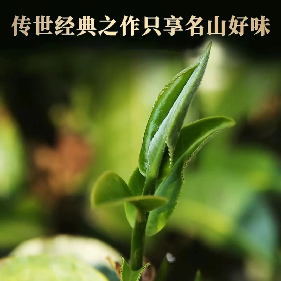 T-灵蛇献瑞·蛇来送福 新年礼盒代拍链接【老金茶业】-QH