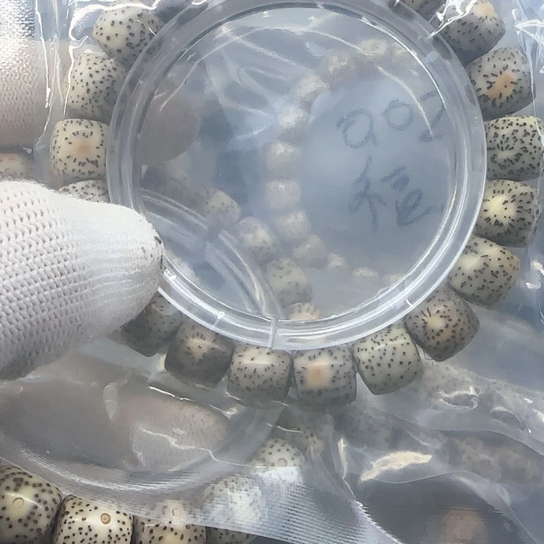 【闪购商品】星月菩提吊坠Q6