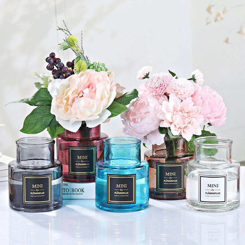 水培植物玻璃花瓶透明简约水养花卉小花瓶迷你桌面插花装饰摆件