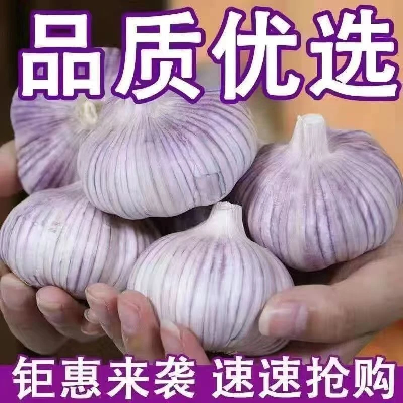 正宗河南大蒜头干蒜5斤特大新鲜多瓣蒜农家蒜整箱批发大蒜头50克