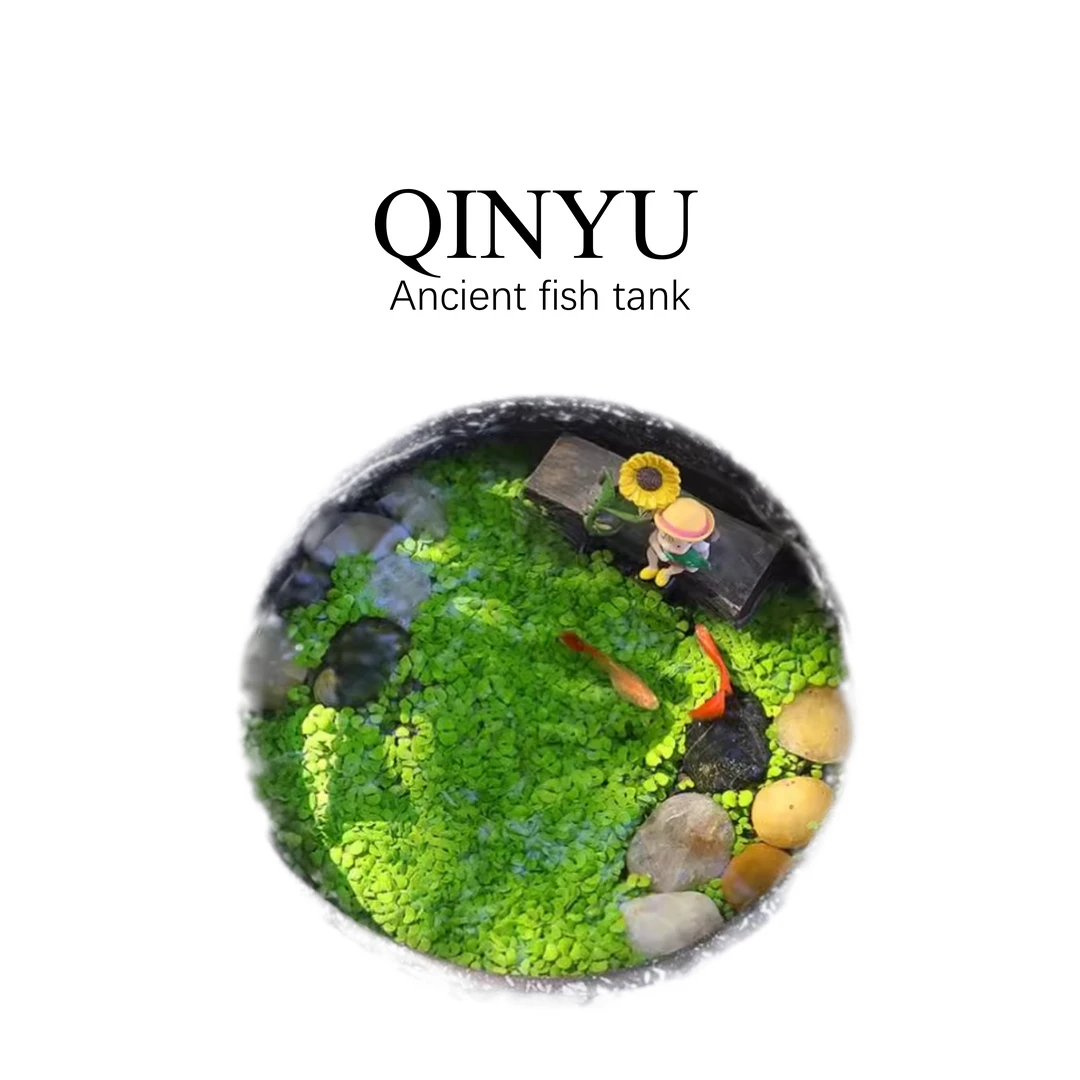 【造景•古法】古法缸造景必备水草 部分需底沙