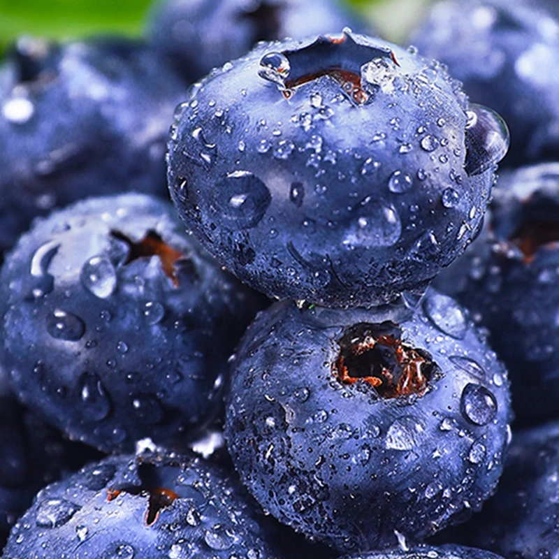 【限量版特大果】怡颗莓云南蓝莓18-22盒装125g