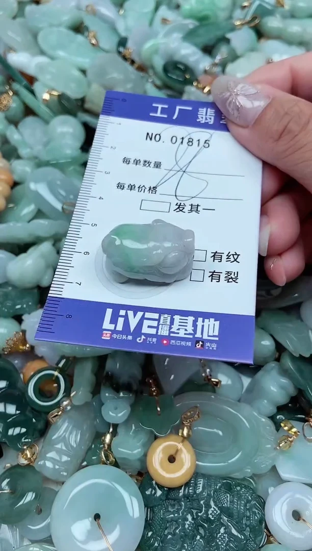 【闪购商品】翡翠颈饰未镶嵌翡翠