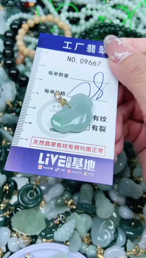 【闪购商品】翡翠颈饰未镶嵌翡翠