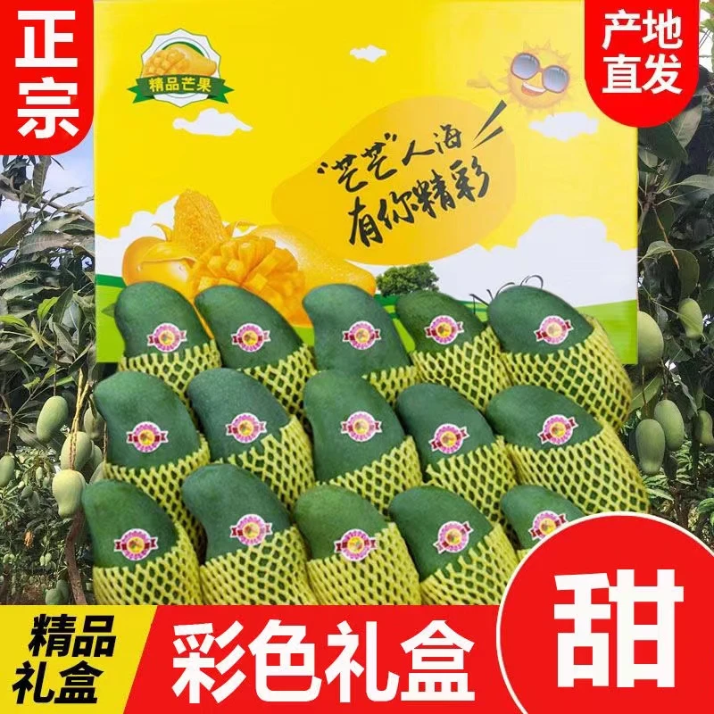 正宗广西百色田东桂七一级香芒果精品礼盒装新鲜水果9斤大果当季