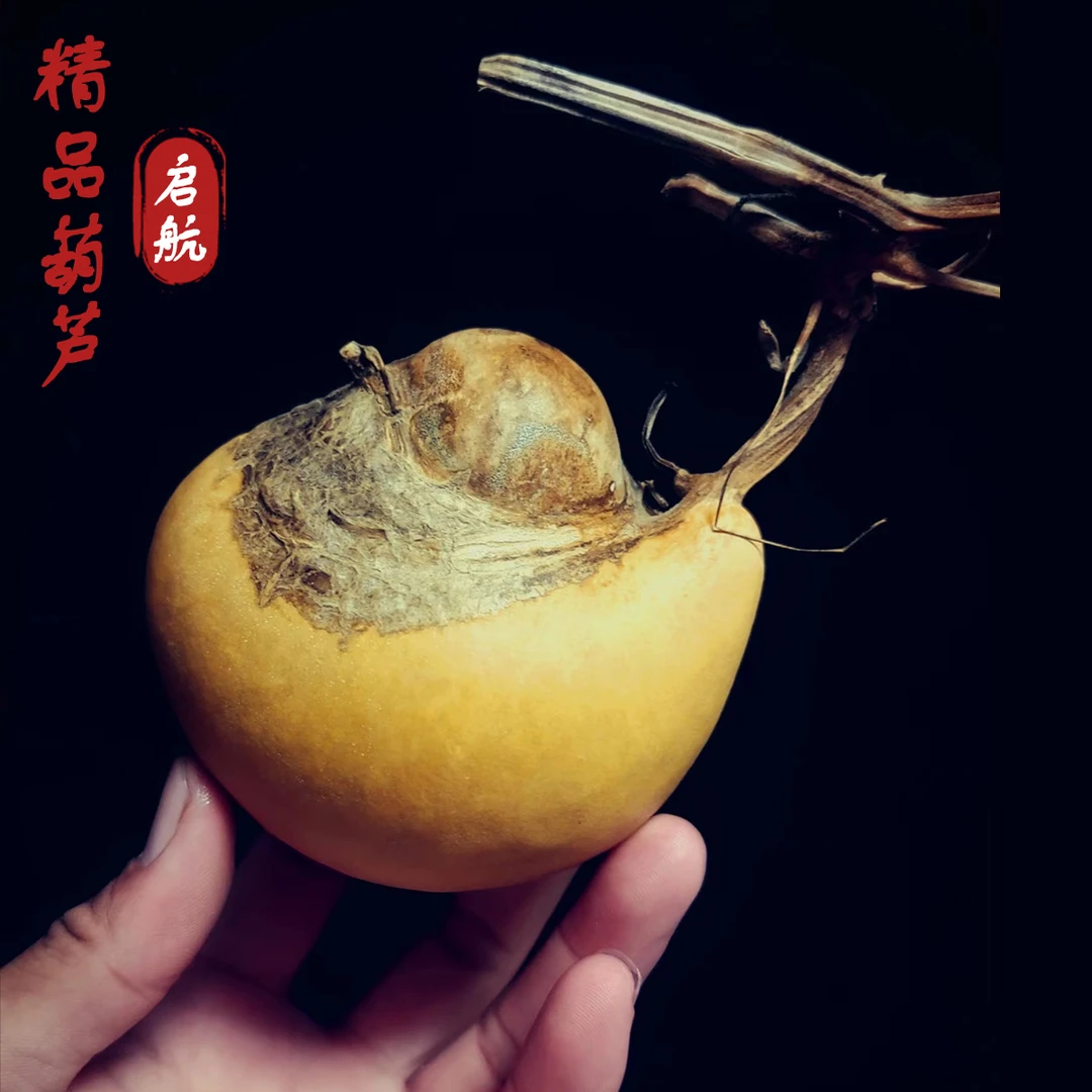 启航直播间一物一拍家居饰品工艺葫芦