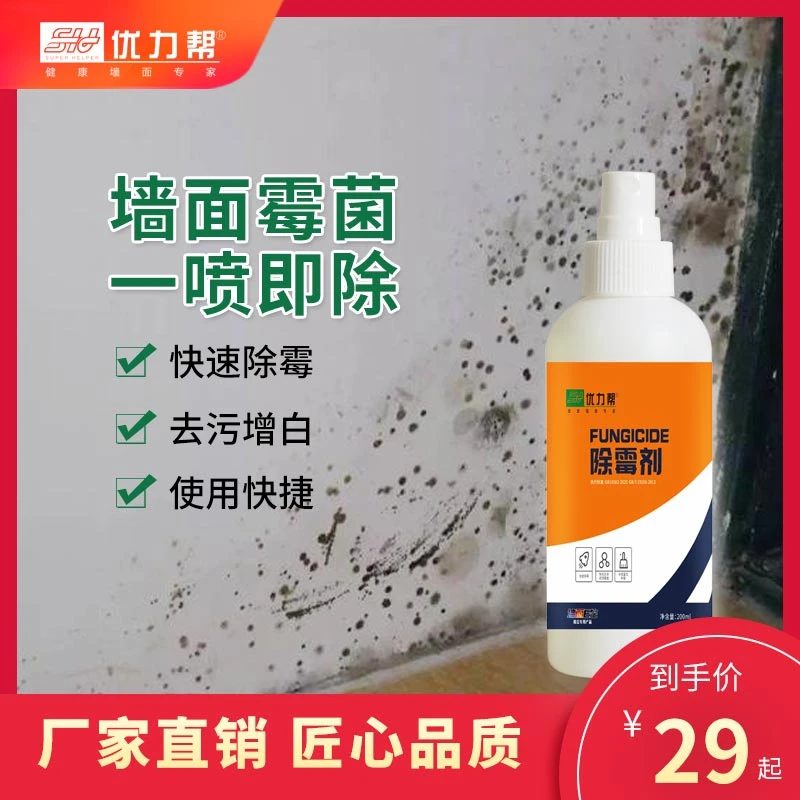 强力除霉剂防霉剂墙面发霉霉斑处理各种霉菌渍一喷即除