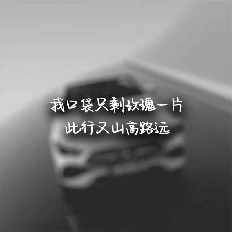 小尖尖歌词汽车贴纸我口袋只剩玫瑰一片此行又山高路远薛之谦