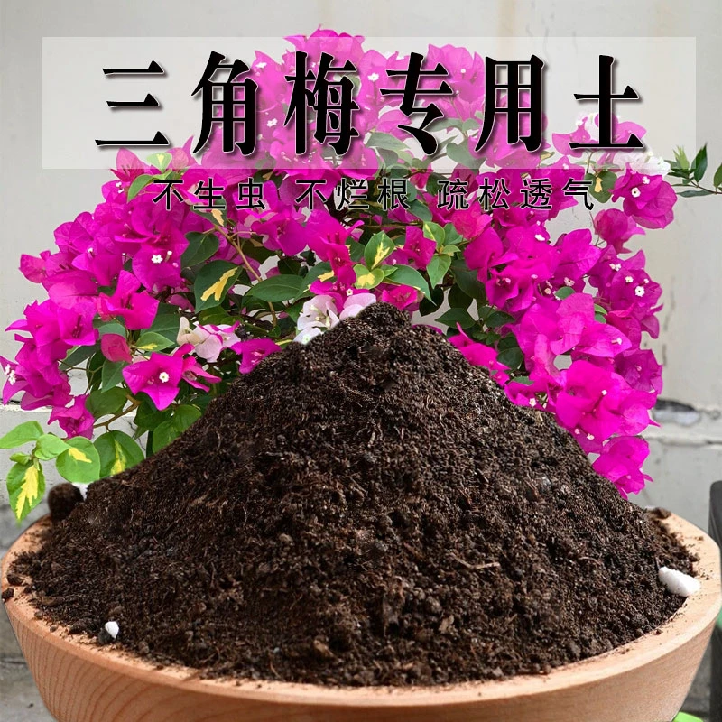 三角梅专用土三角梅专用营养土养花种花土通用种植土酸性土壤肥料