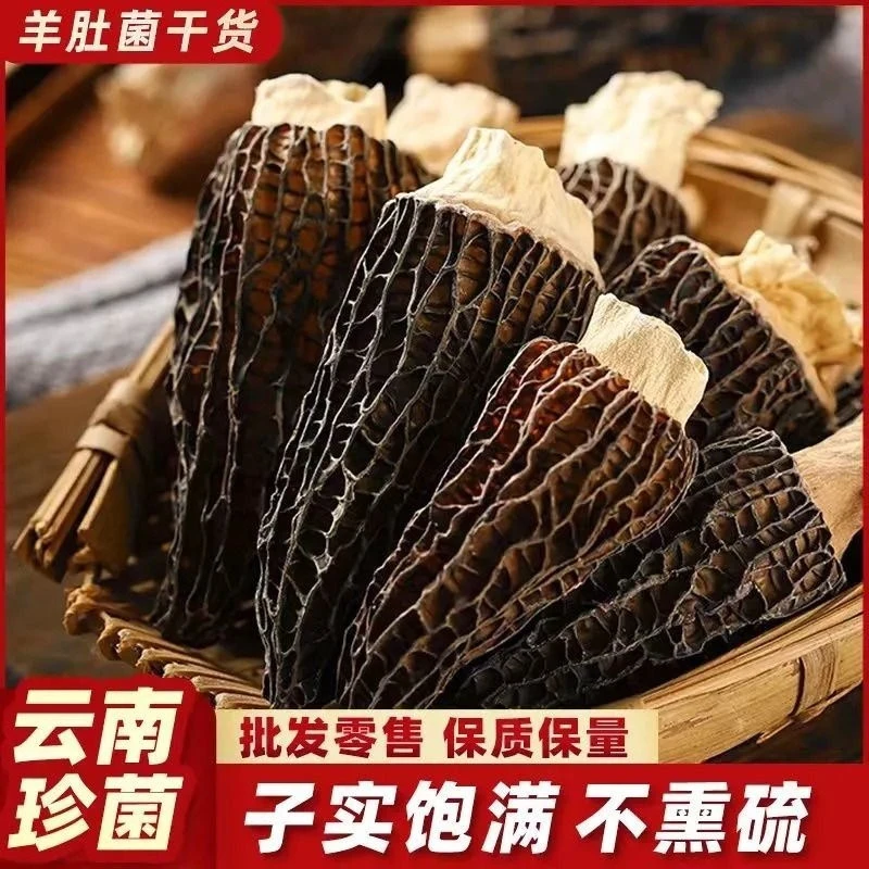 精选羊肚菌7-9规格肉质肥厚鲜嫩爽口云南原产地头茬新货羊肚菌菇