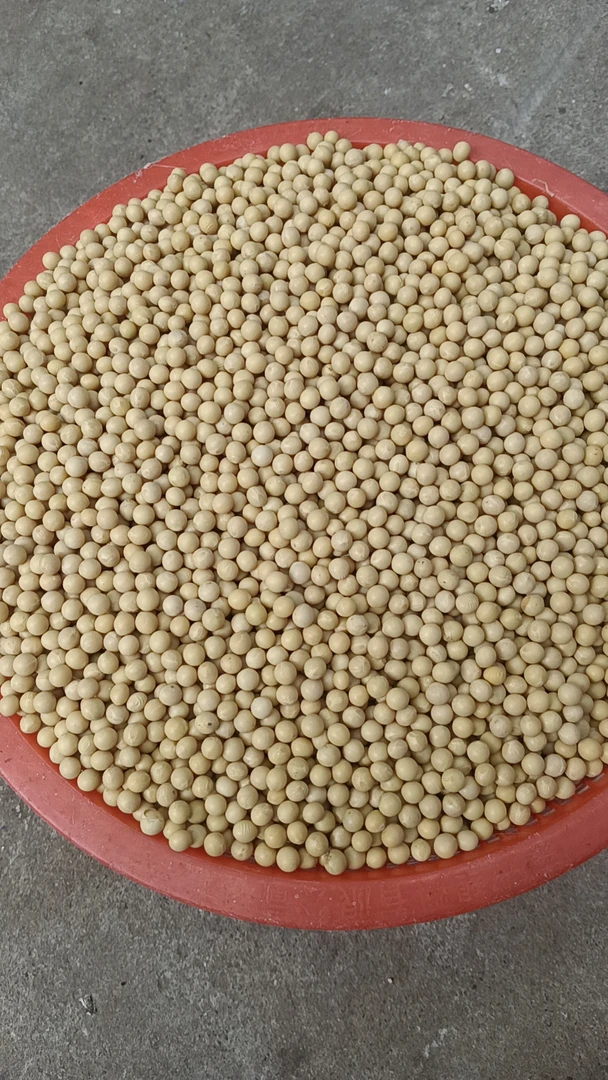 精选东北黄豆3斤特价老品种土黄豆