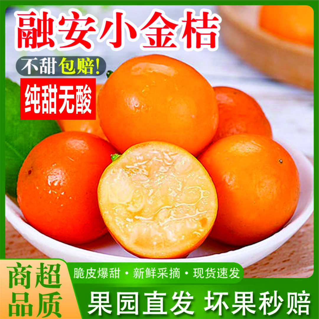 正宗融安纯甜脆皮小金桔滑皮桔子橘子应季水果脆蜜新鲜多汁皮薄