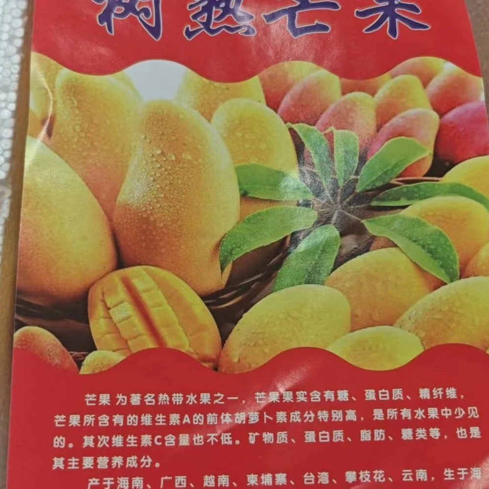 【袋】树上熟小台芒5斤左右 仅大同市平城区 云冈区可拍
