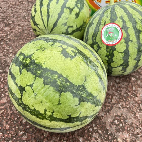 【1颗】 麒麟西瓜（有籽）   1颗6斤 仅大同市平城区云冈区可拍