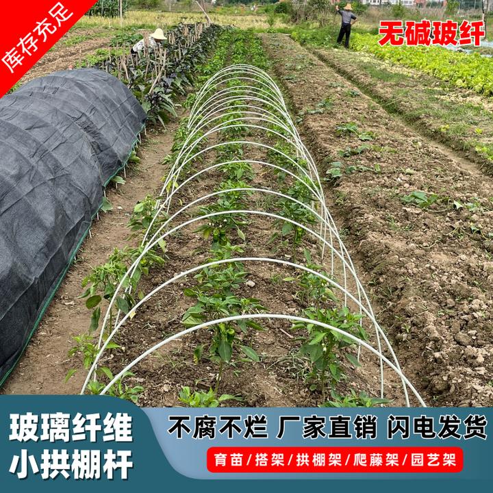 50根】小拱棚支架拱杆种蔬菜秧苗温室大棚骨架实心玻璃纤维杆农用