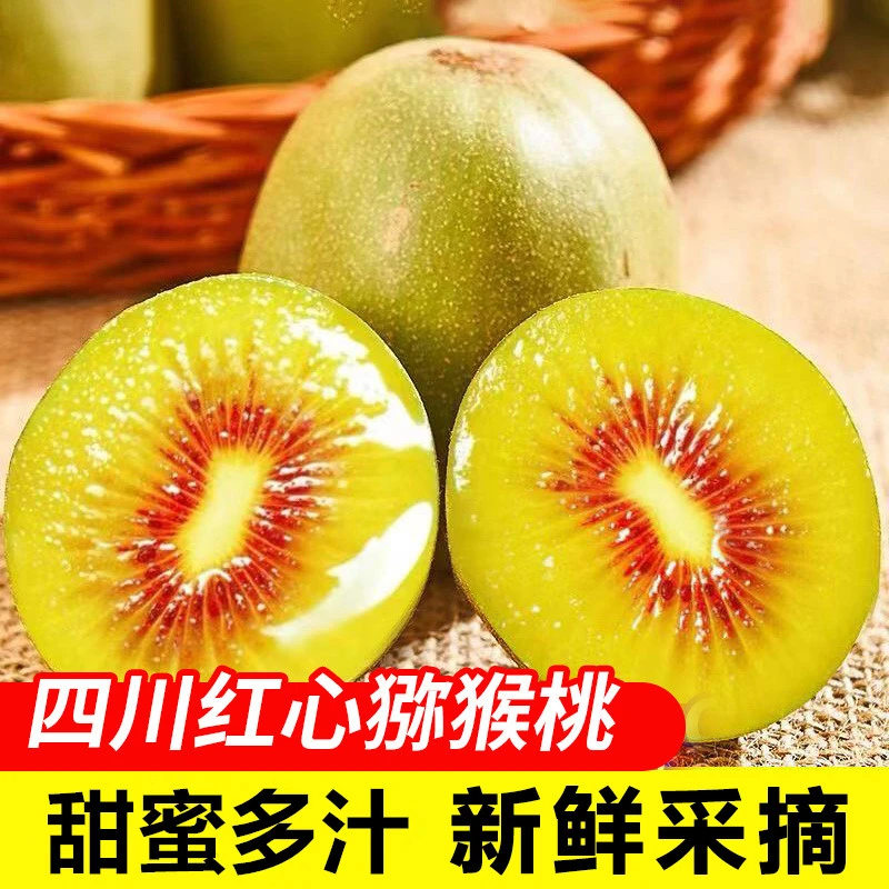 质凡正宗四川蒲江红心猕猴桃奇异果6-30粒(50-130g)当季新鲜水果