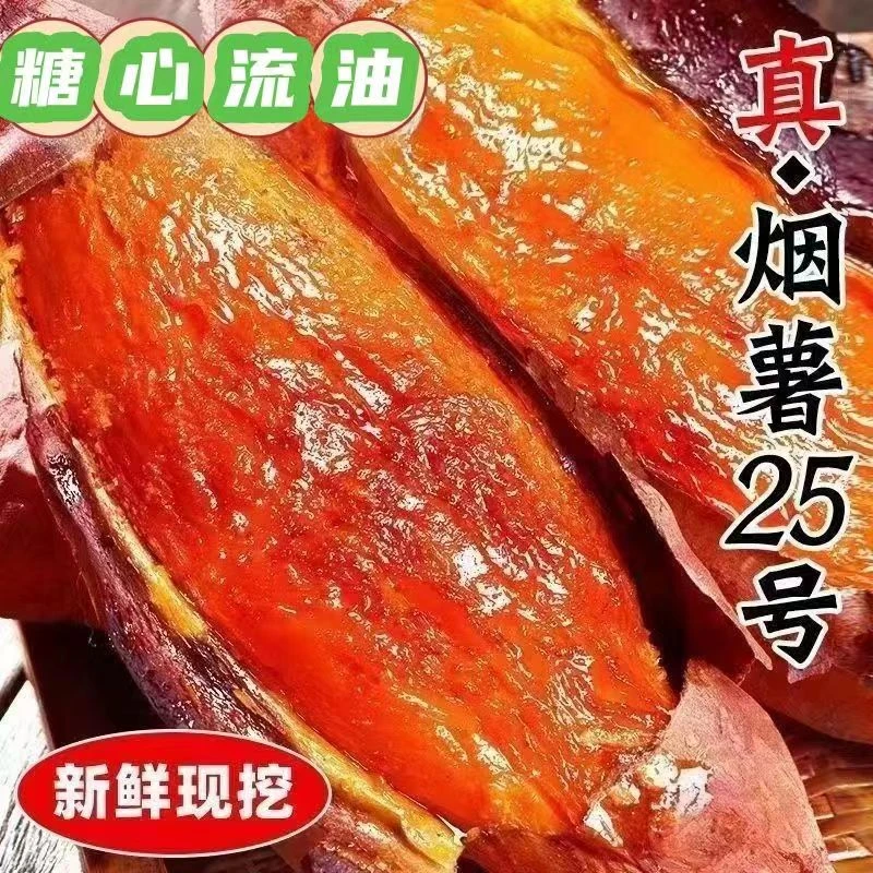山东烟薯25号烤地瓜红薯3斤5斤装糖心流油蜜薯番薯软糯蜜甜烤红薯