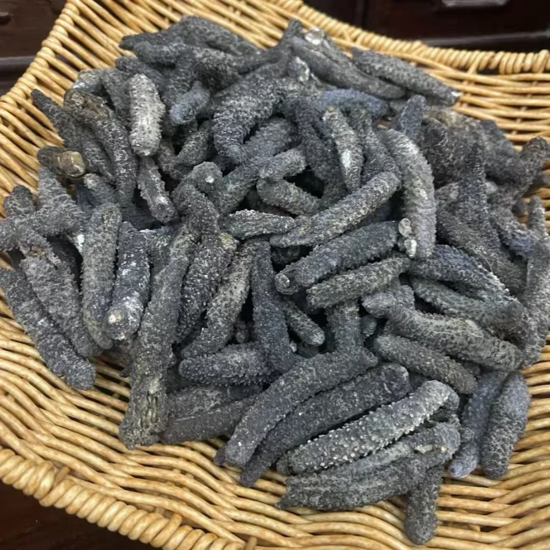 （散装农产品）官方庄 大刺参 200头 干货