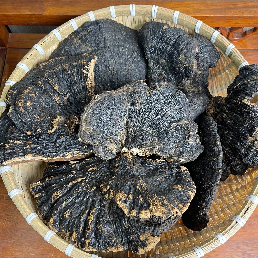 不苦灵芝无柄黑树芝散装农产品