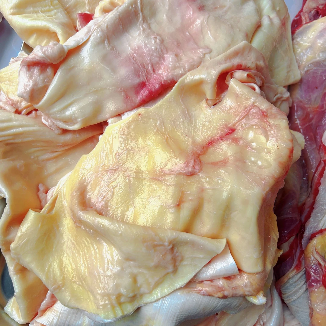 牛腩筋皮新鲜筋皮子烧烤食材炖国产清真有筋有油速冻发货专用