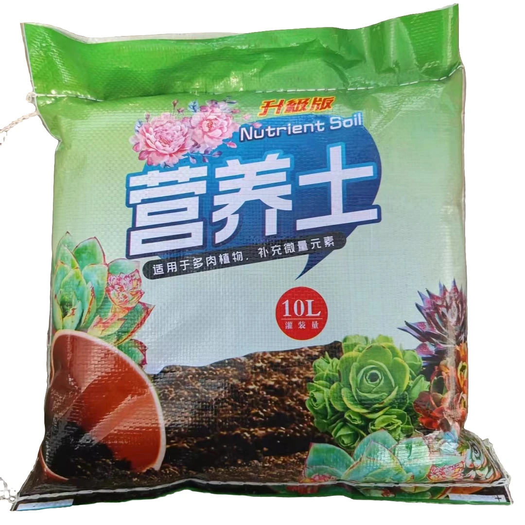 【十里多肉】营养土  云南夏季精品多肉植物  室内外好养  一单包邮